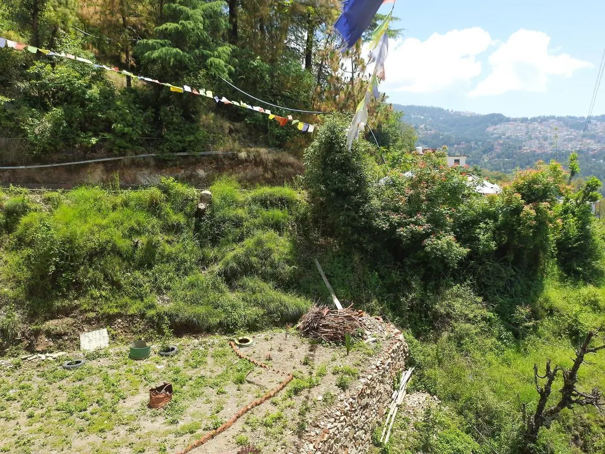 Aagaman Woods Homestay Shimla Hindistan